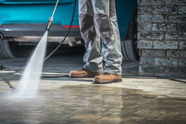 Best Fleet Vehicle Washing  in Adrian, MI