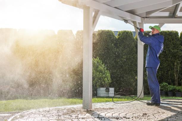 Best Solar Panel Cleaning  in Adrian, MI