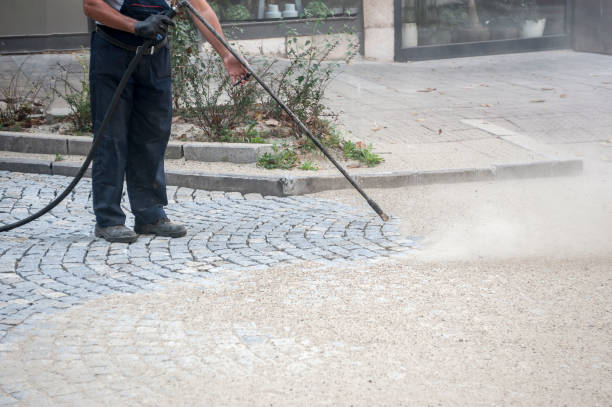 Best Sidewalk and Walkway Cleaning  in Adrian, MI
