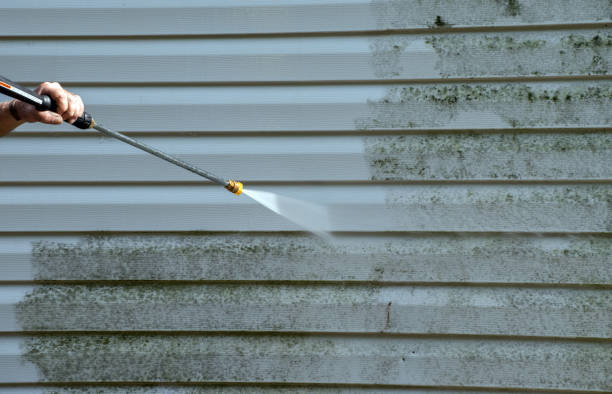 Best Building Exterior Washing  in Adrian, MI