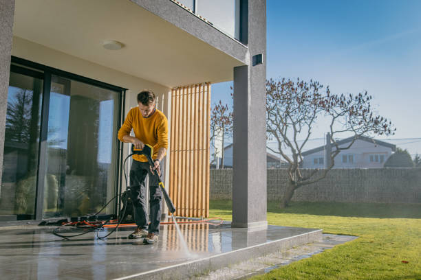 Best Fence Cleaning  in Adrian, MI