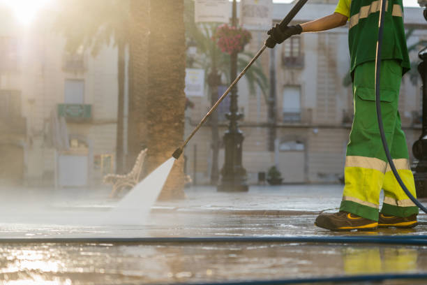 Best Driveway Pressure Washing  in Adrian, MI